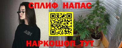 mdpv Будённовск