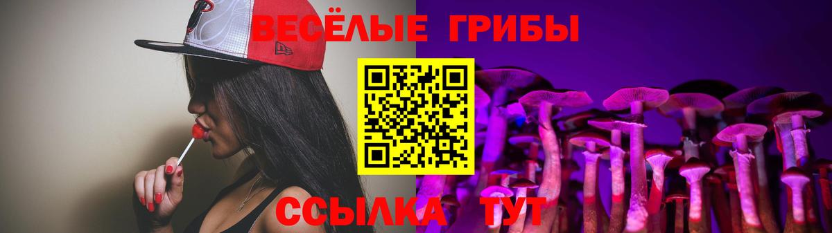 Семилуки  Галлюциногенные грибы прущие грибы  Псилоцибиновые грибы мицелий  Вход с VPN 